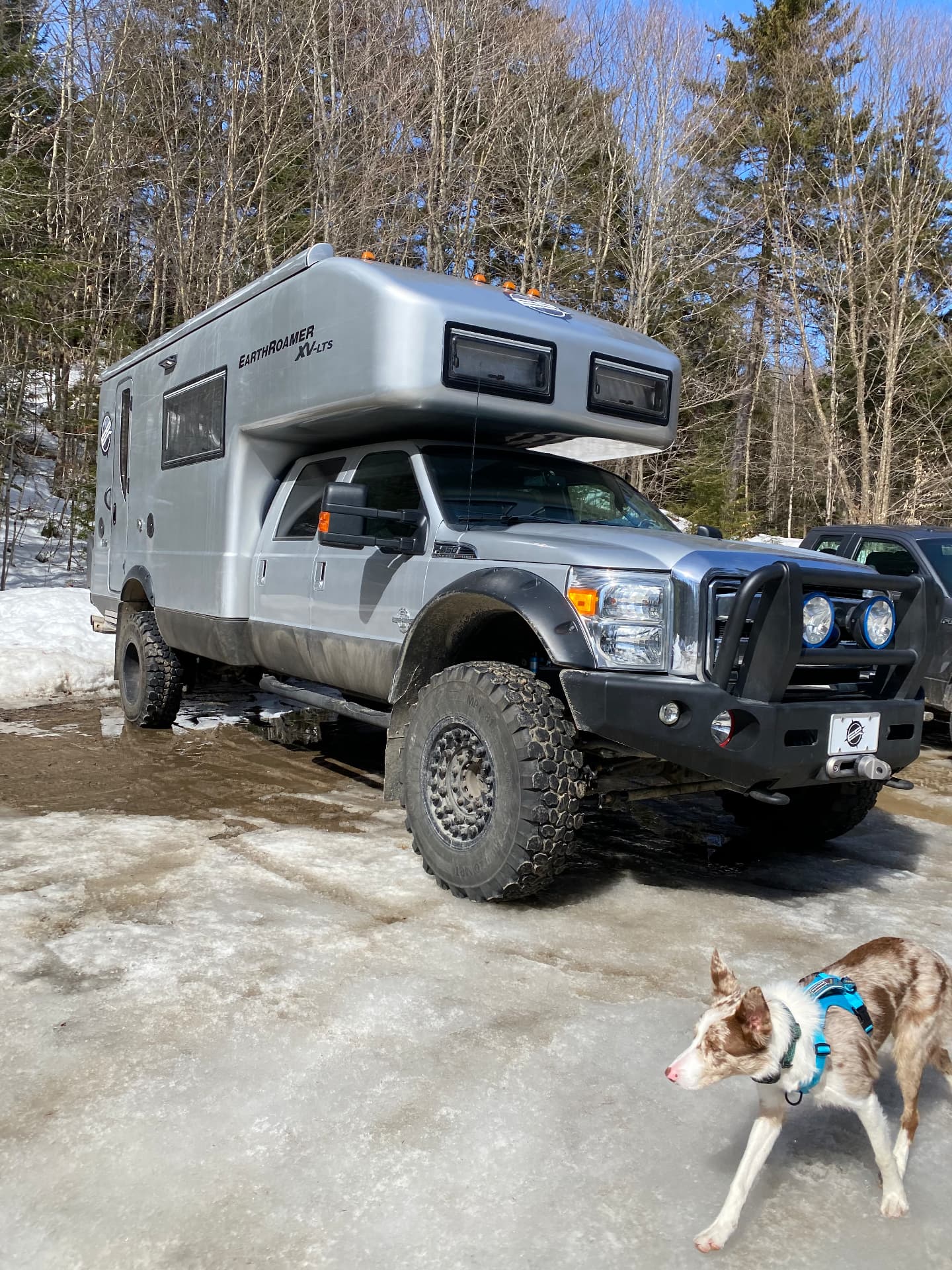 My dog beside our winter base camp after a snowy trail day