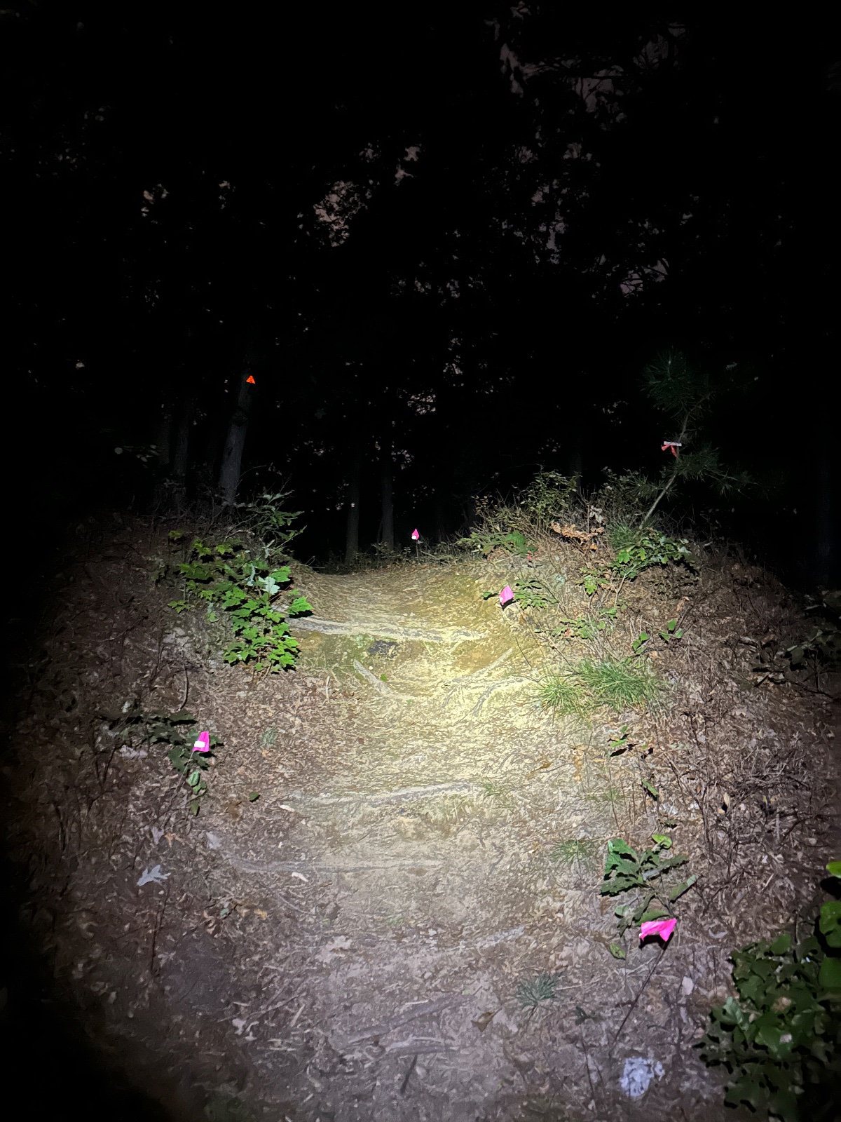 Race Debrief 26-03: Tesla Hertz Night 10 Miler